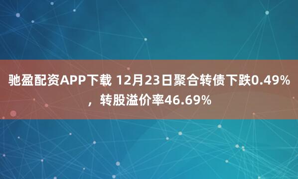 驰盈配资APP下载 12月23日聚合转债下跌0.49%，转股溢价率46.69%