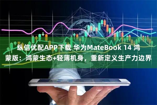 纵信优配APP下载 华为MateBook 14 鸿蒙版：鸿蒙生态+轻薄机身，重新定义生产力边界